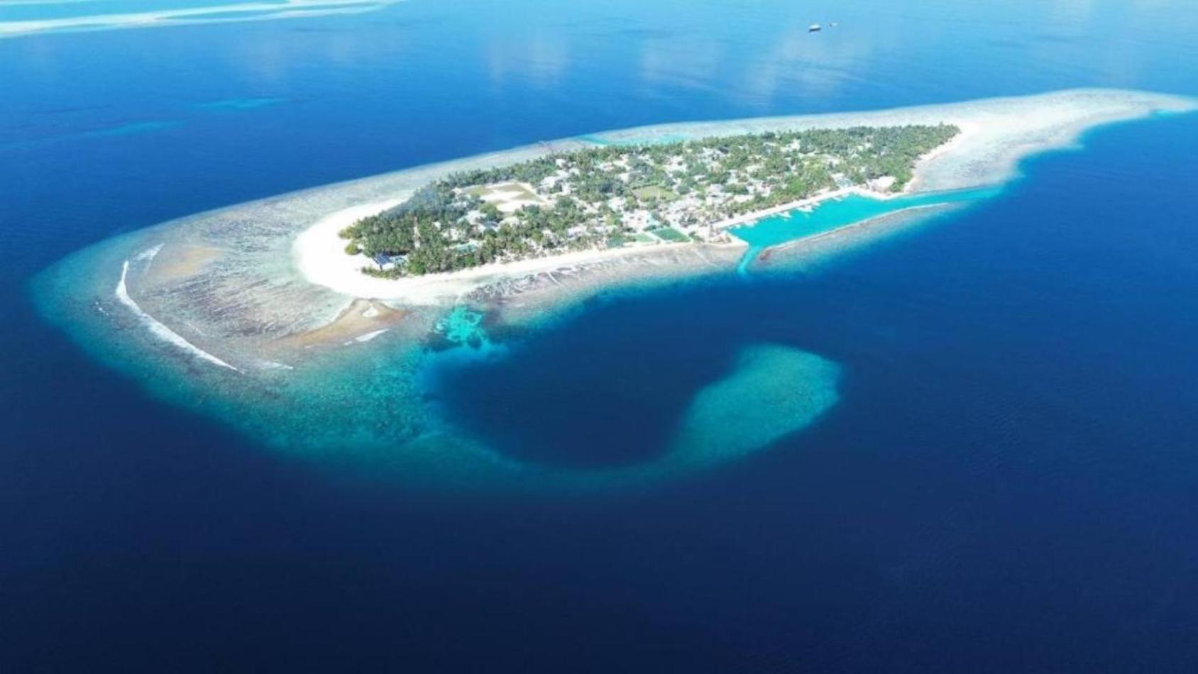 Turtle Maldives - Your Gateway To The Beach & Marine Adventures Await! Omadhoo Exterior foto