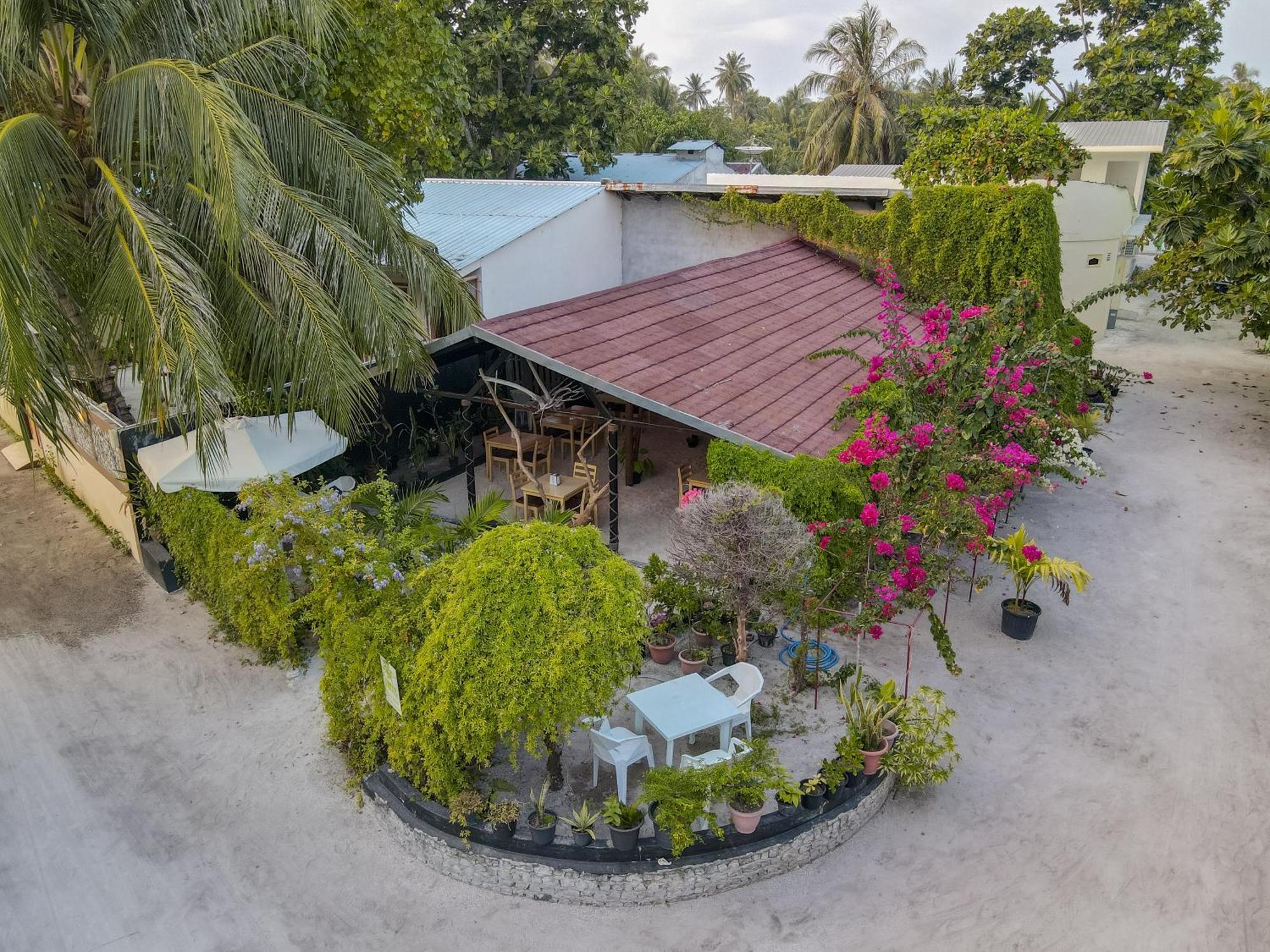 Turtle Maldives - Your Gateway To The Beach & Marine Adventures Await! Omadhoo Exterior foto